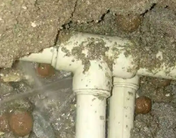 定安测漏水多少钱