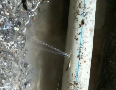 定安测漏水哪家好