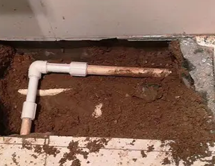 定安测漏水哪家好