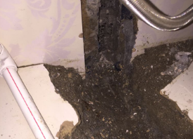 定安卫生间测漏水哪家好