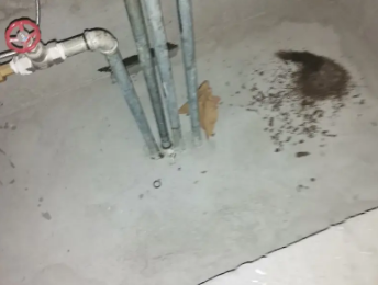 定安卫生间测漏水价格明细