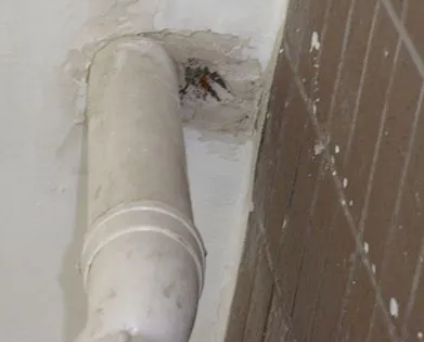 定安漏水检测哪家好